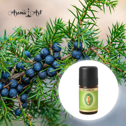 Enbär (bär) ekologisk